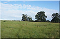 Path towards Whitehouse Farm