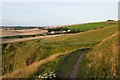 Coastal path above Starney Bay