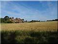 Stubble field, Northend