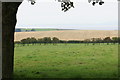 Field above Maryport