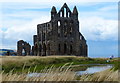 NZ9011 : Pond next to Whitby Abbey by Mat Fascione