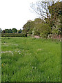 Pasture south-west of Huddlesford in Staffordshire