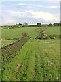 Pasture south-west of Huddlesford in Staffordshire