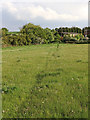 Bridleway south-west of Huddlesford in Staffordshire