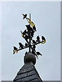 SZ5579 : Starlings on church weather vane, Wroxall by Robin Webster