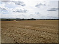 Stubble field near Oakley Purlieus