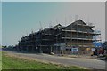 New houses, Links Road, Amble