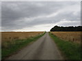 Private road to Boughton Wood Lodge