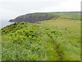 Coastal path on Cemaes Head