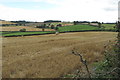 Rolling fields by Farthingstone Road