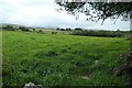 Farmland south-east of Penfforddelen Farm