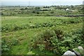 View towards Bron Dinas, between Penygroes and Carmel