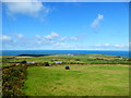 View towards Strumble Head Lighthouse from below Garn Fawr