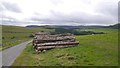 Logpile, Blackhaugh