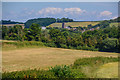 Withycombe : Grassy Field