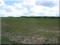 Farmland east of Durrington