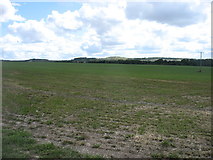SU1644 : Farmland east of Durrington by David Purchase