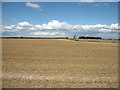 Farmland west of Middle Woodford