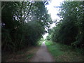 Hornsea Rail Trail