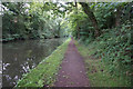 Grand Union Canal towards bridge #79