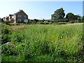 Houses in Twyning