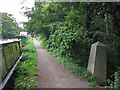 TQ0493 : Towpath of the Grand Union Canal northeast of Springwell Lock by Mike Quinn