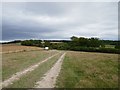 Track downhill towards Warren Hill Farm