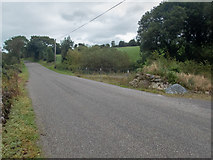 W2372 : Irish rural road by Neville Goodman