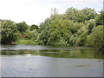TQ0493 : Lake east  of Springwell Lane by Mike Quinn
