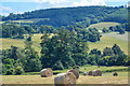 Nettlecombe : Countryside Scenery