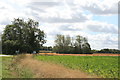 Farmland at Warbanks Farm