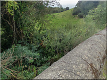 W5650 : A bridge with hidden stream by Neville Goodman