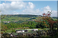 Farmland and woodland  north-east of Danebank in Cheshire