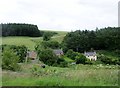 NT7458 : Windshiel.  Organic  farming  in  the  Lammermuir  Hills by Martin Dawes