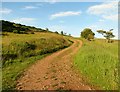 Track  then  footpath  to  Abbey  St  Bathans