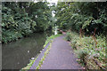 Grand Union Canal near bridge #86