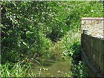 TQ0493 : A minor branch of the River Colne by Springwell Lane by Mike Quinn