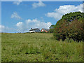 Cheshire pasture north-east of High Lane