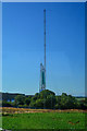 Williton : Crop Field and Mast