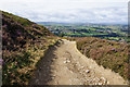 Track leading to Scar Hole Lane