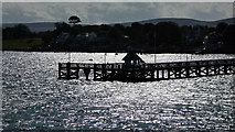 SZ3590 : Yarmouth Pier by John Lucas