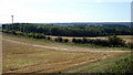 Farmland near Thorley