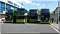 Bus line-up at Newport