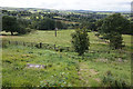 Kirklees Way towards Hepworth