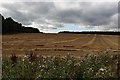 NU1625 : Arable field south of Ellingham by Graham Robson