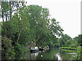 The Grand Union Canal by Lynsters Lake (2)