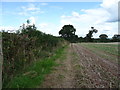 Field margin near Hookgate