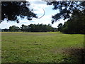 View from the diverted footpath at Star Carr