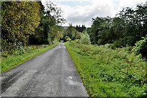 H4882 : Lisnaharney Road, Lislap East by Kenneth  Allen