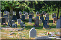 Buckfastleigh : Holy Trinity Churchyard